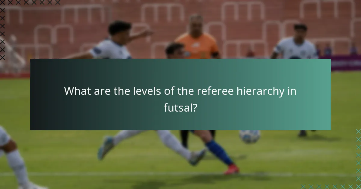 What are the levels of the referee hierarchy in futsal?